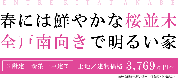 全戸南向きの明るい家「エントレ北田辺」。新築３階一戸建てで価格は3,769万円〜！